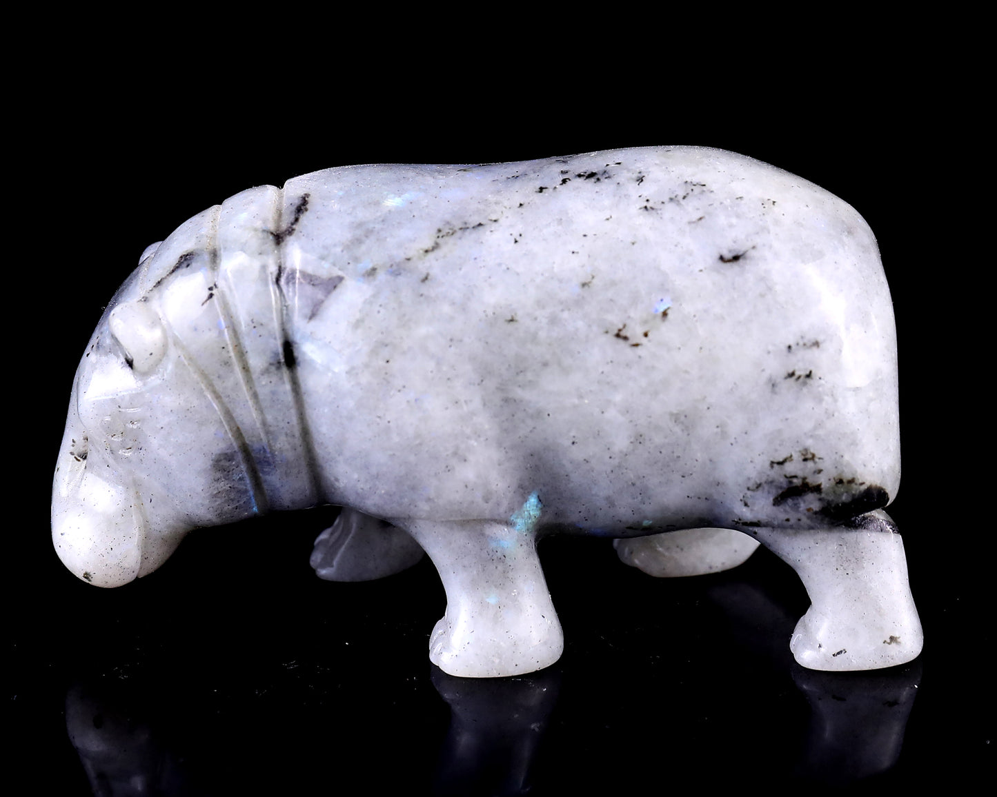 4.1" Labradorite Hand Carved Crystal Hippo Sculpture Crystallumi