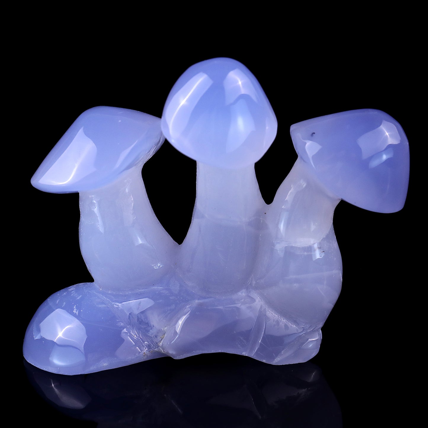 4.2" Blue Chalcedony Hand Carved Crystal Mushrooms Sculpture Crystallumi