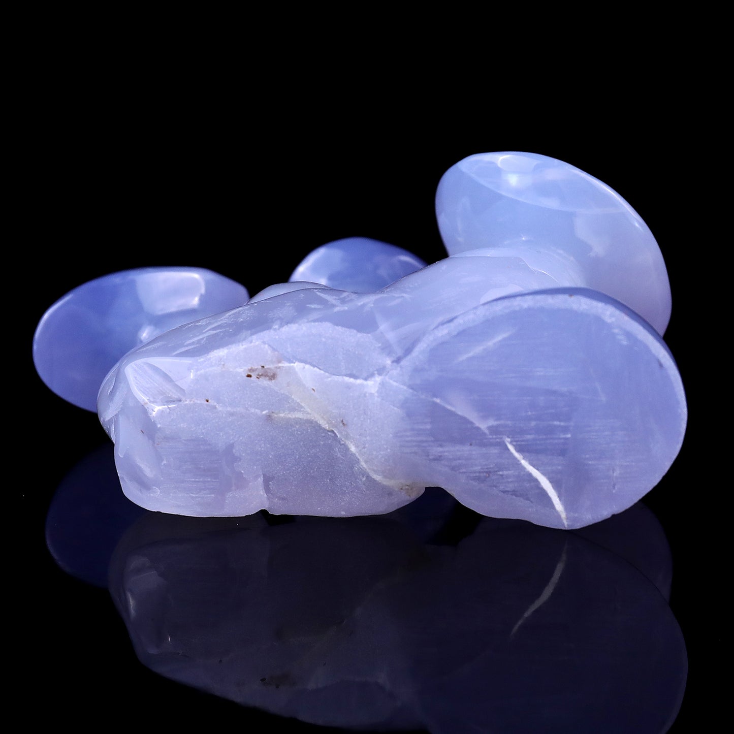 4.2" Blue Chalcedony Hand Carved Crystal Mushrooms Sculpture Crystallumi