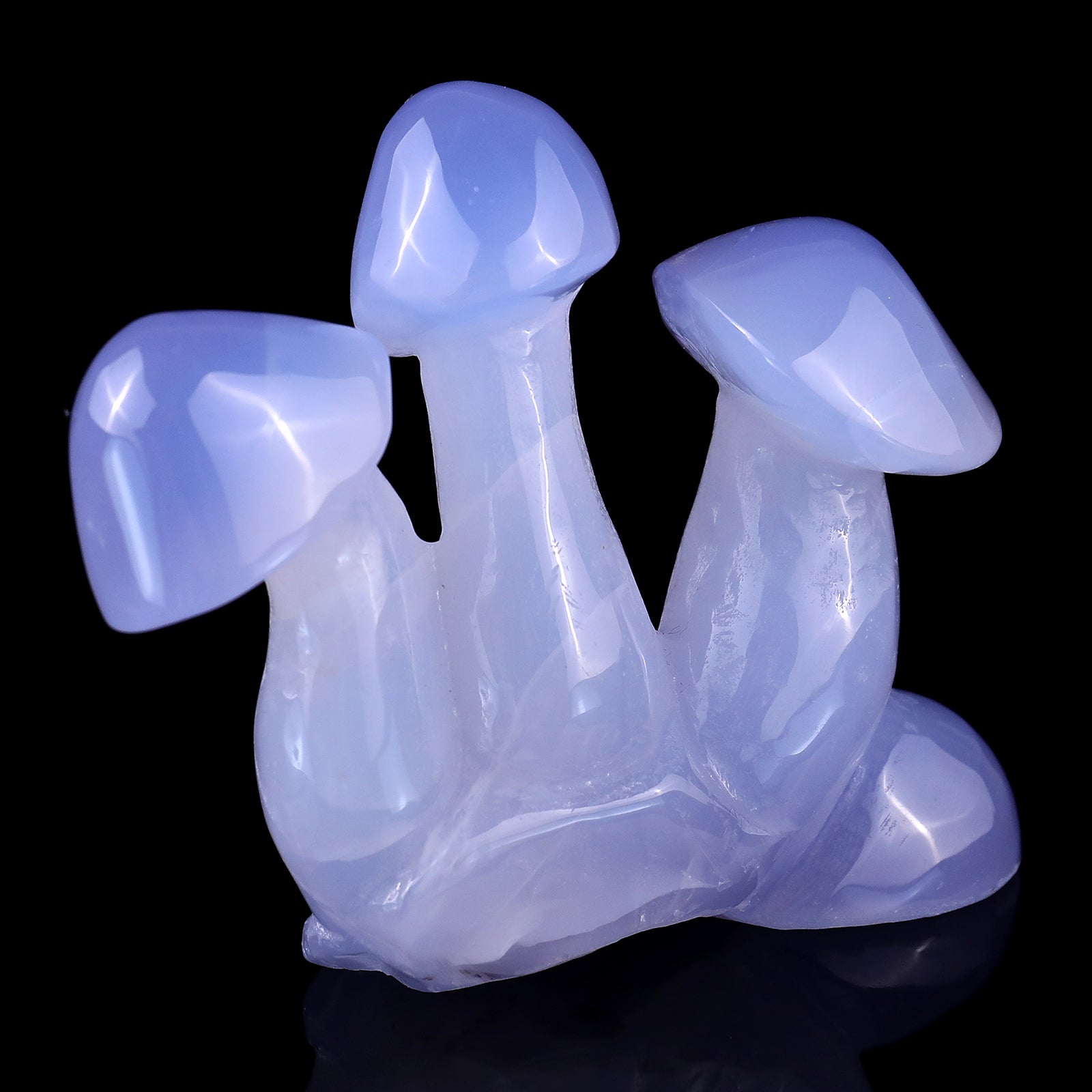 4.2" Blue Chalcedony Hand Carved Crystal Mushrooms Sculpture Crystallumi