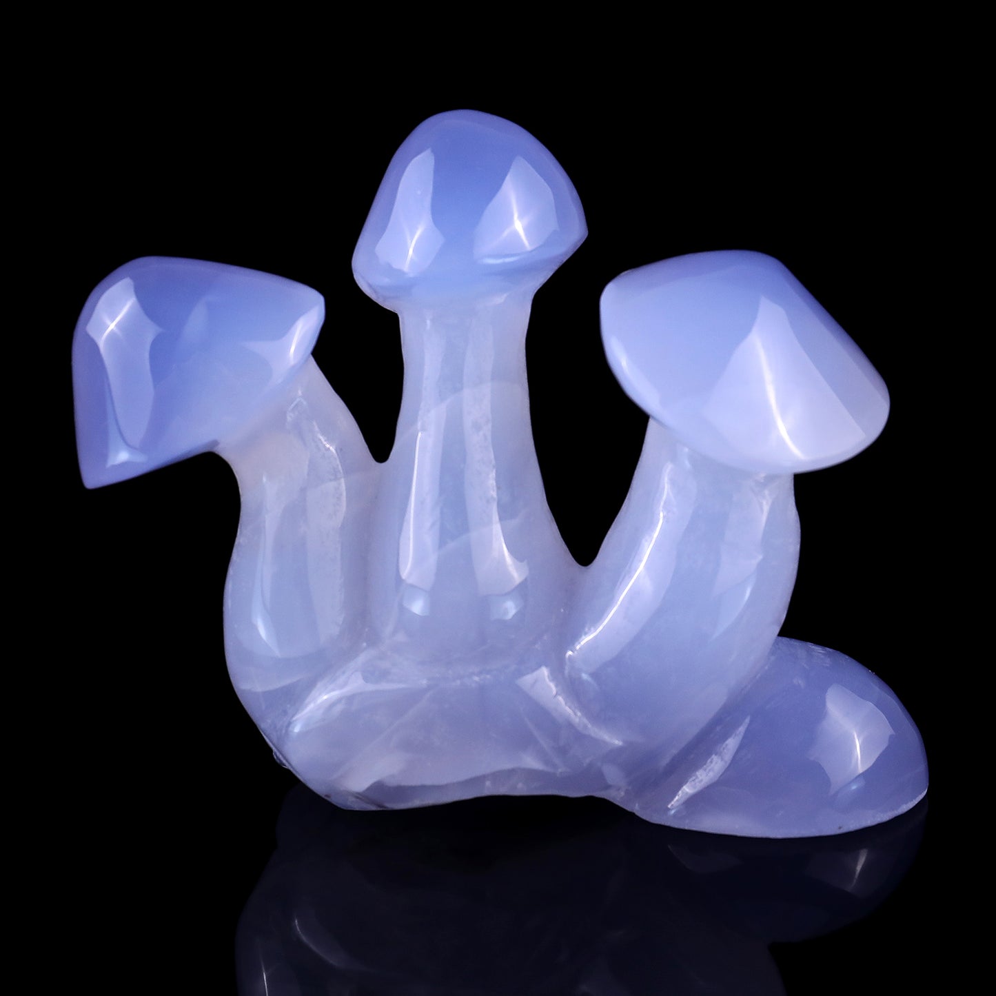 4.2" Blue Chalcedony Hand Carved Crystal Mushrooms Sculpture Crystallumi