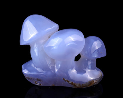 4.2" Blue Chalcedony Hand Carved Crystal Mushrooms Sculpture Crystallumi