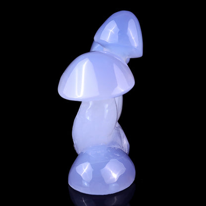 4.2" Blue Chalcedony Hand Carved Crystal Mushrooms Sculpture Crystallumi