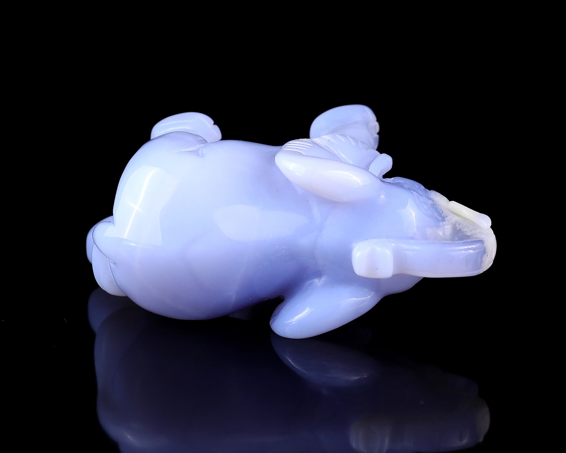 4.3" Blue Chalcedony Hand Carved Crystal Elephant Sculpture Crystallumi