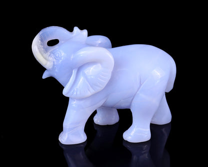 4.3" Blue Chalcedony Hand Carved Crystal Elephant Sculpture Crystallumi