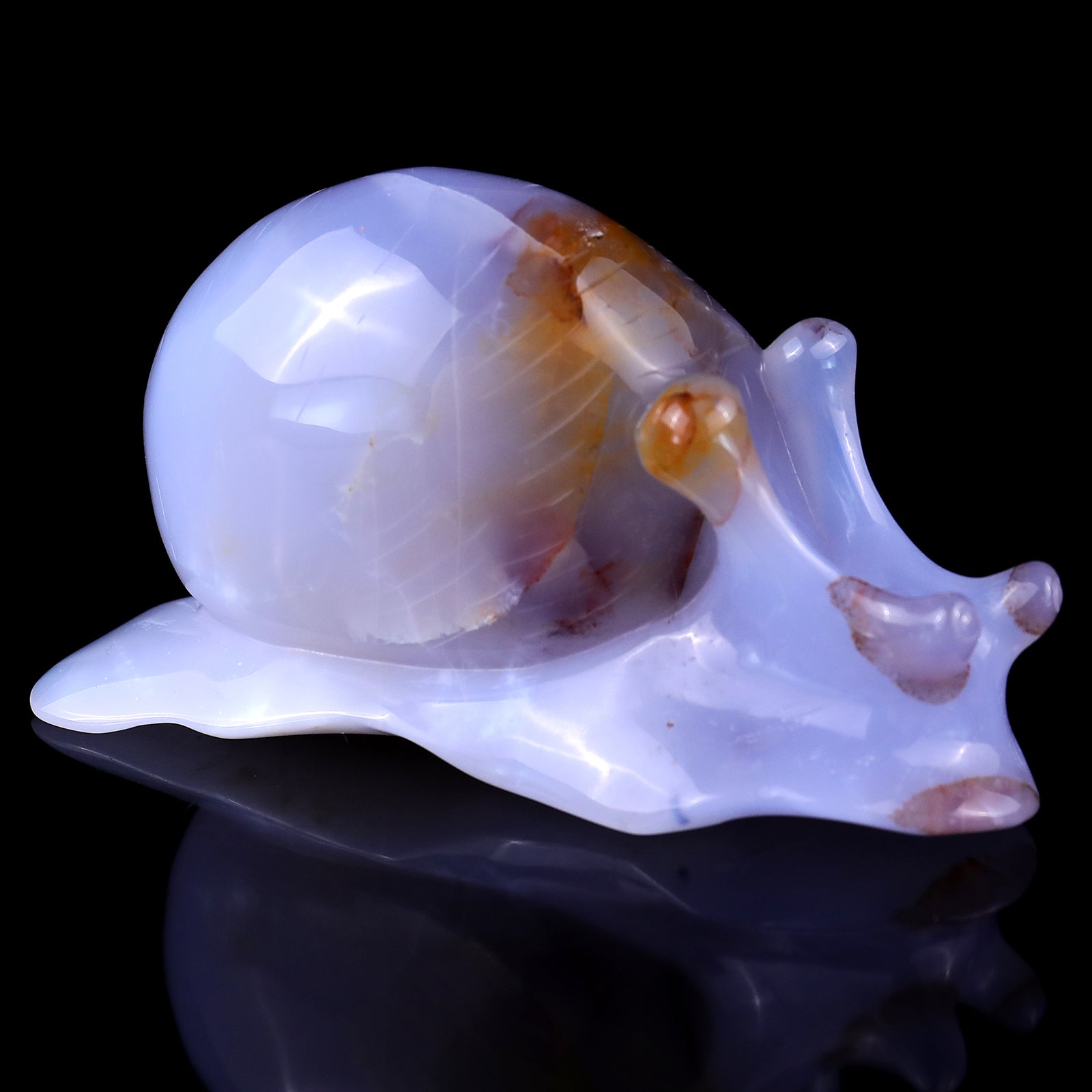 4.3" Blue Chalcedony Hand Carved Crystal Snail Sculpture Crystallumi