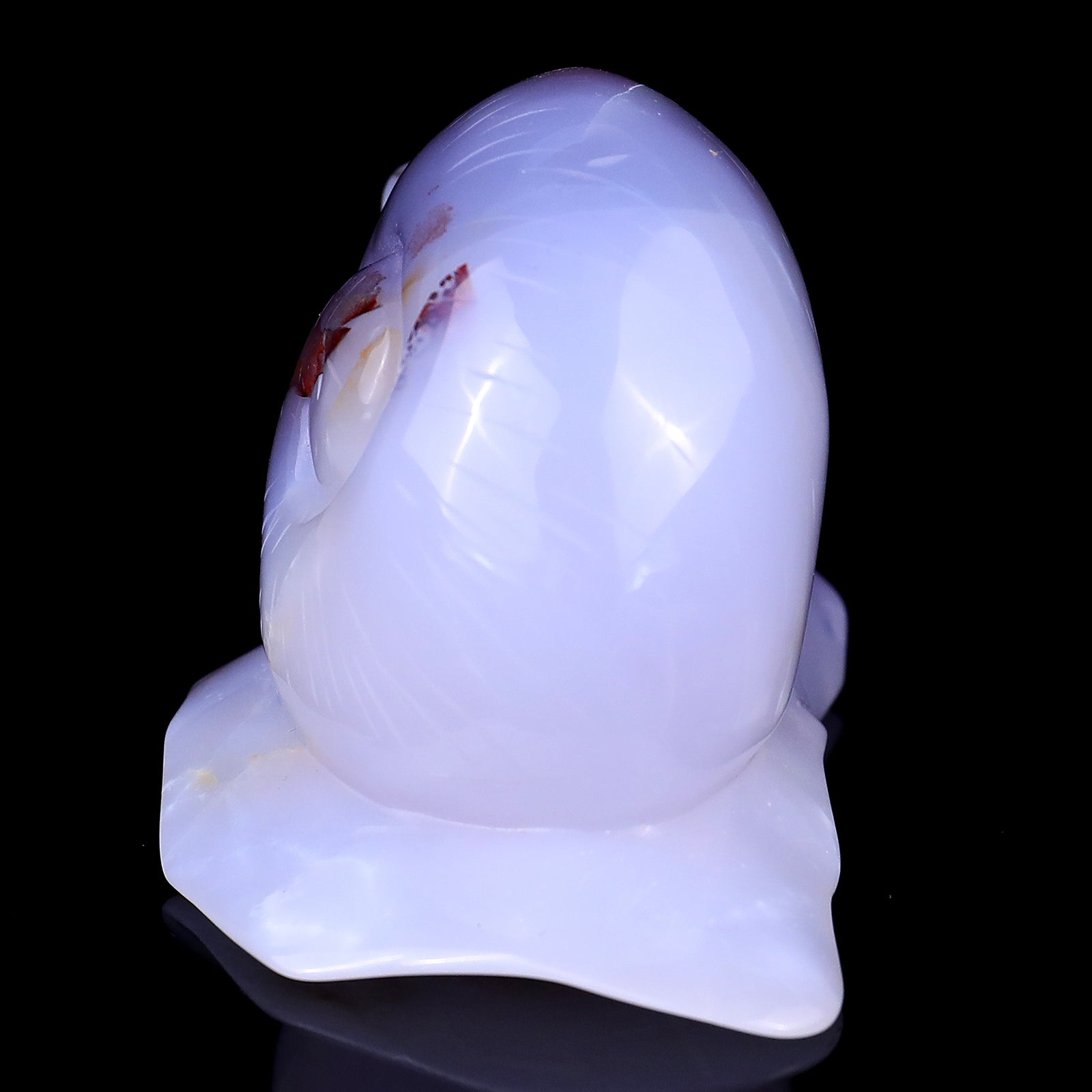 4.3" Blue Chalcedony Hand Carved Crystal Snail Sculpture Crystallumi