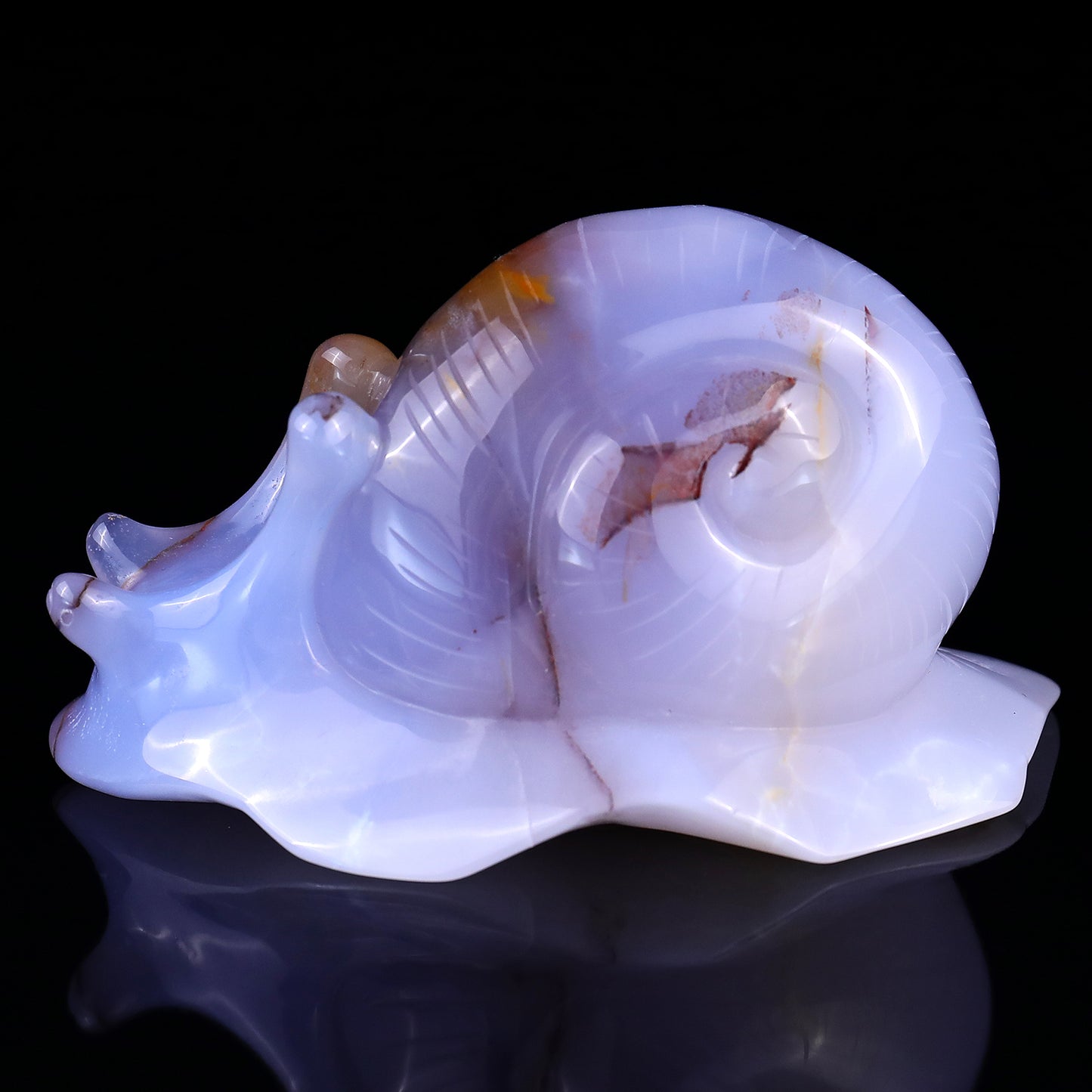 4.3" Blue Chalcedony Hand Carved Crystal Snail Sculpture Crystallumi