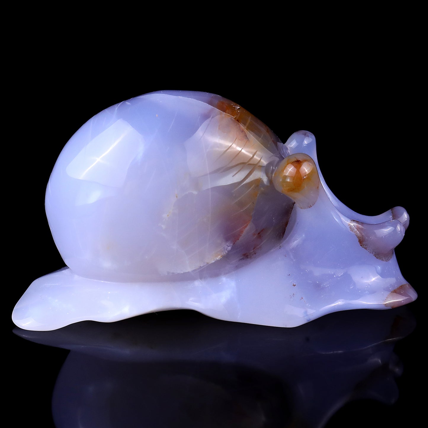 4.3" Blue Chalcedony Hand Carved Crystal Snail Sculpture Crystallumi