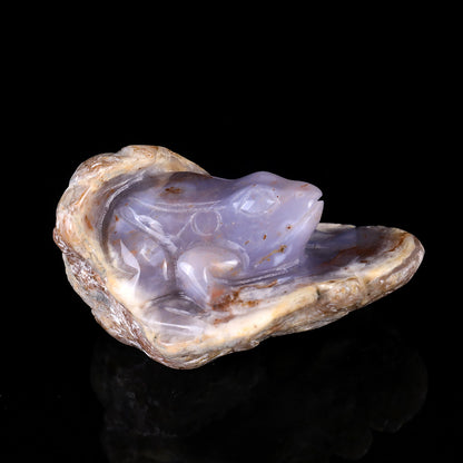 4.4" Blue Chalcedony Hand Carved Crystal Frog Sculpture Crystallumi