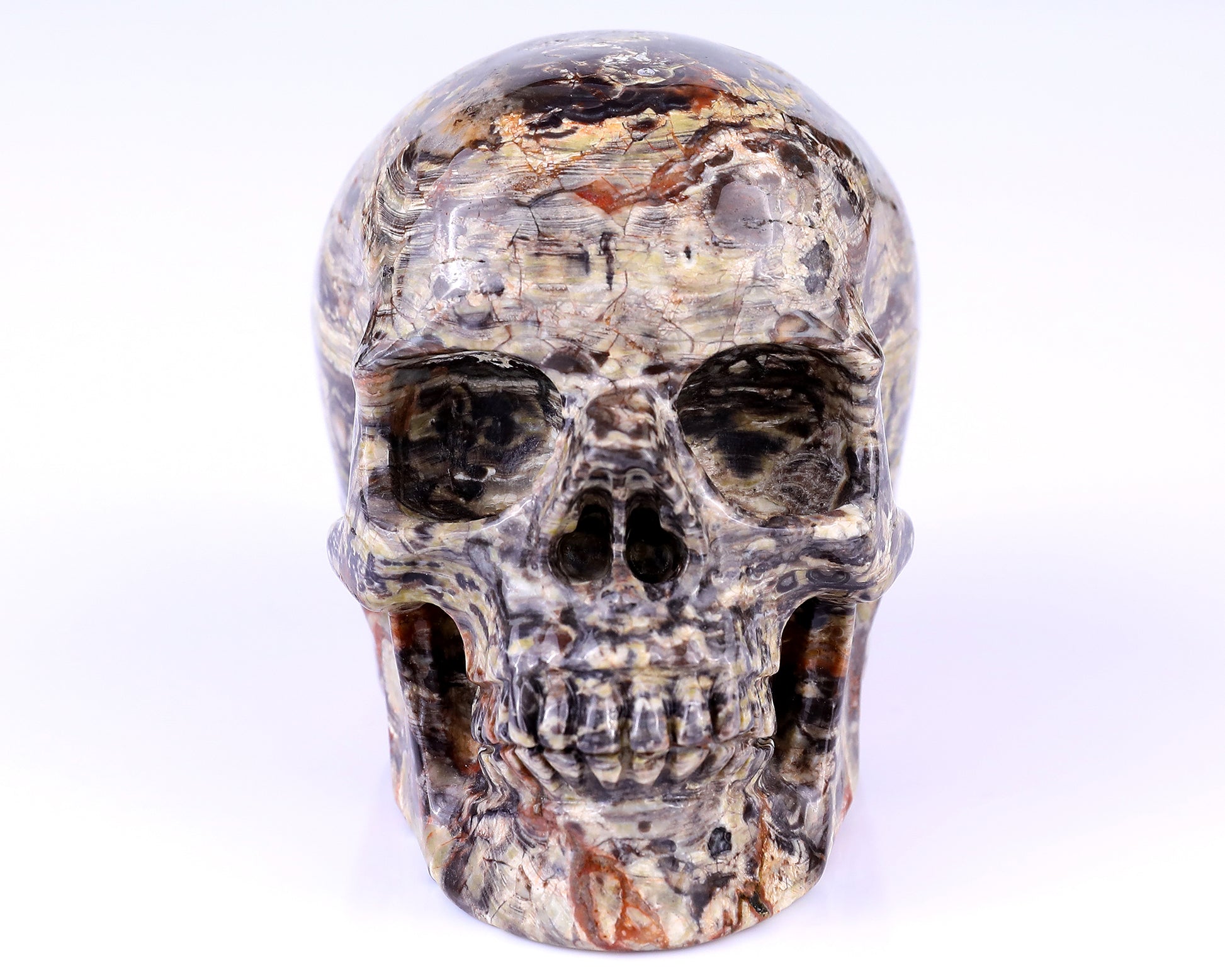 4.4" Coin Agate Hand Carved Crystal Realistic Skull Sculpture Crystallumi