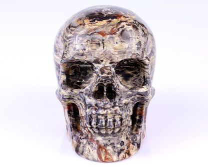 4.4" Coin Agate Hand Carved Crystal Realistic Skull Sculpture Crystallumi