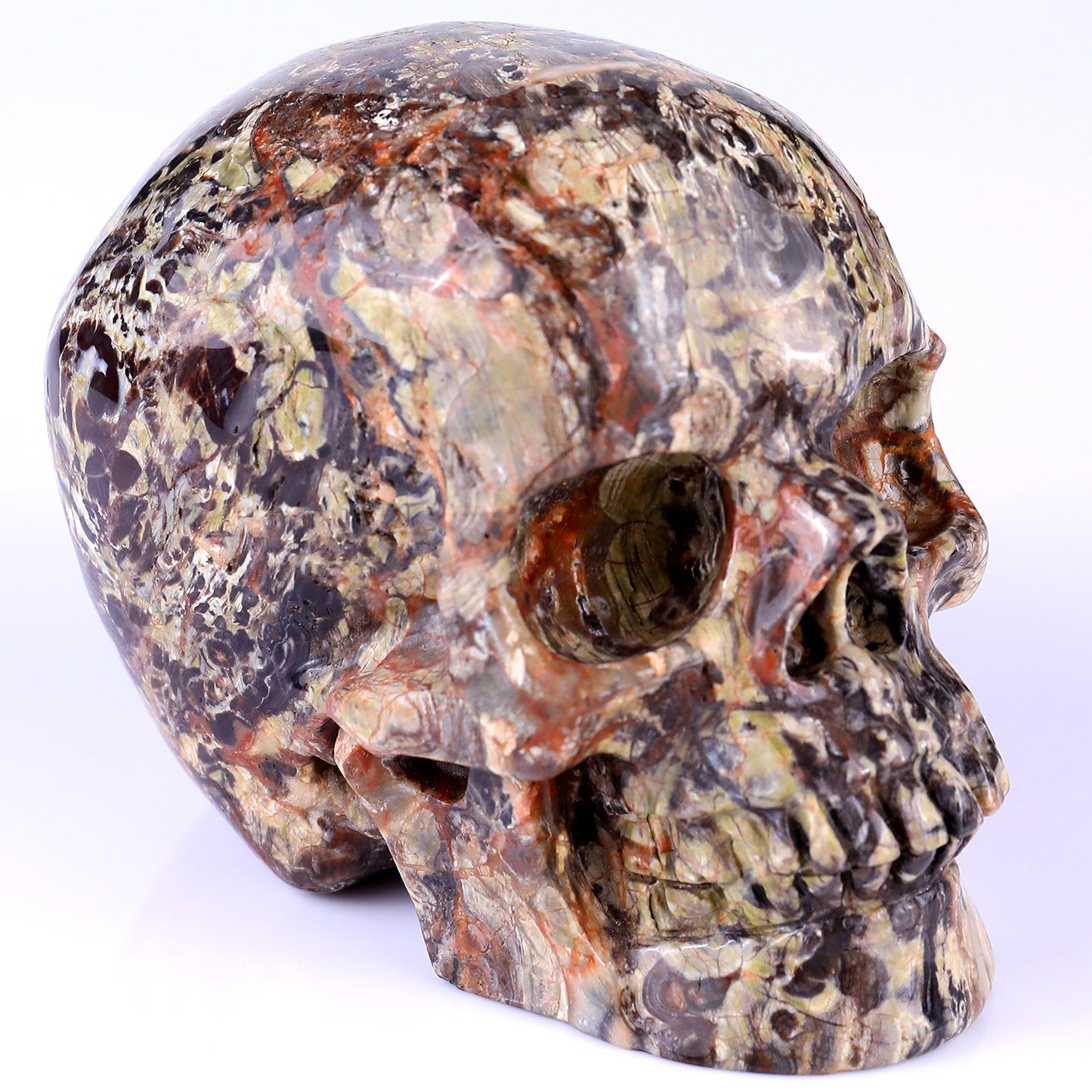 4.4" Coin Agate Hand Carved Crystal Realistic Skull Sculpture Crystallumi