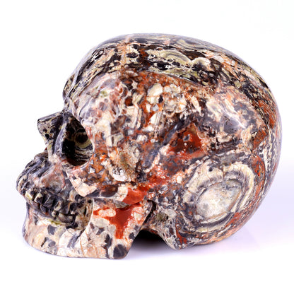 4.4" Coin Agate Hand Carved Crystal Realistic Skull Sculpture Crystallumi