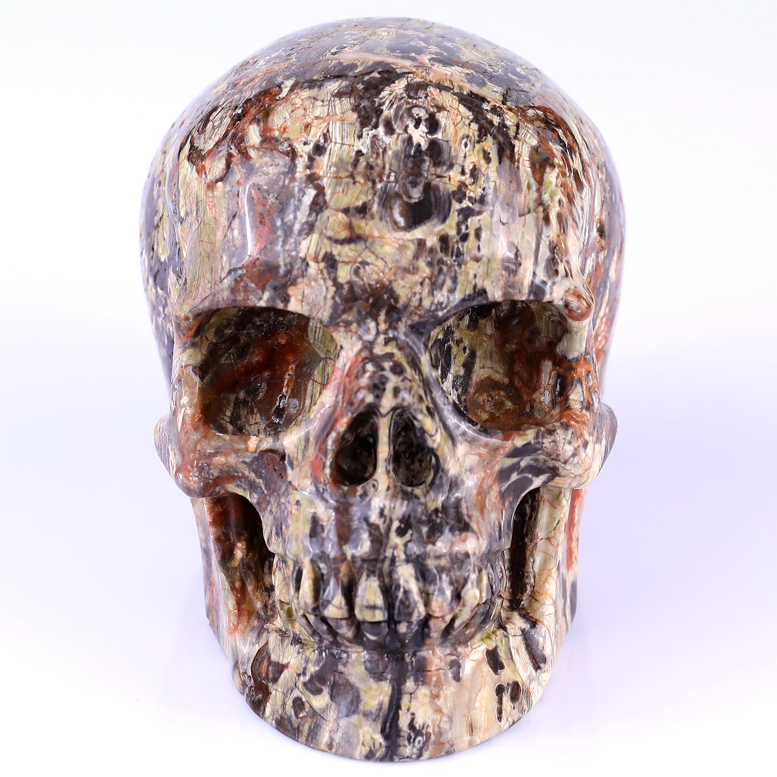 4.4" Coin Agate Hand Carved Crystal Realistic Skull Sculpture Crystallumi