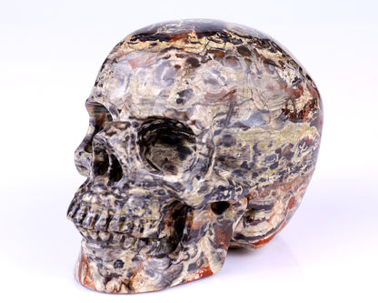 4.4" Coin Agate Hand Carved Crystal Realistic Skull Sculpture Crystallumi