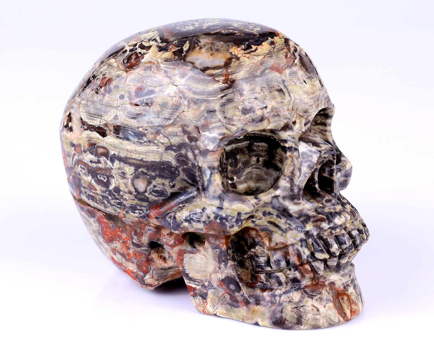 4.4" Coin Agate Hand Carved Crystal Realistic Skull Sculpture Crystallumi