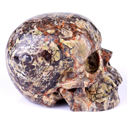 4.4" Coin Agate Hand Carved Crystal Realistic Skull Sculpture Crystallumi