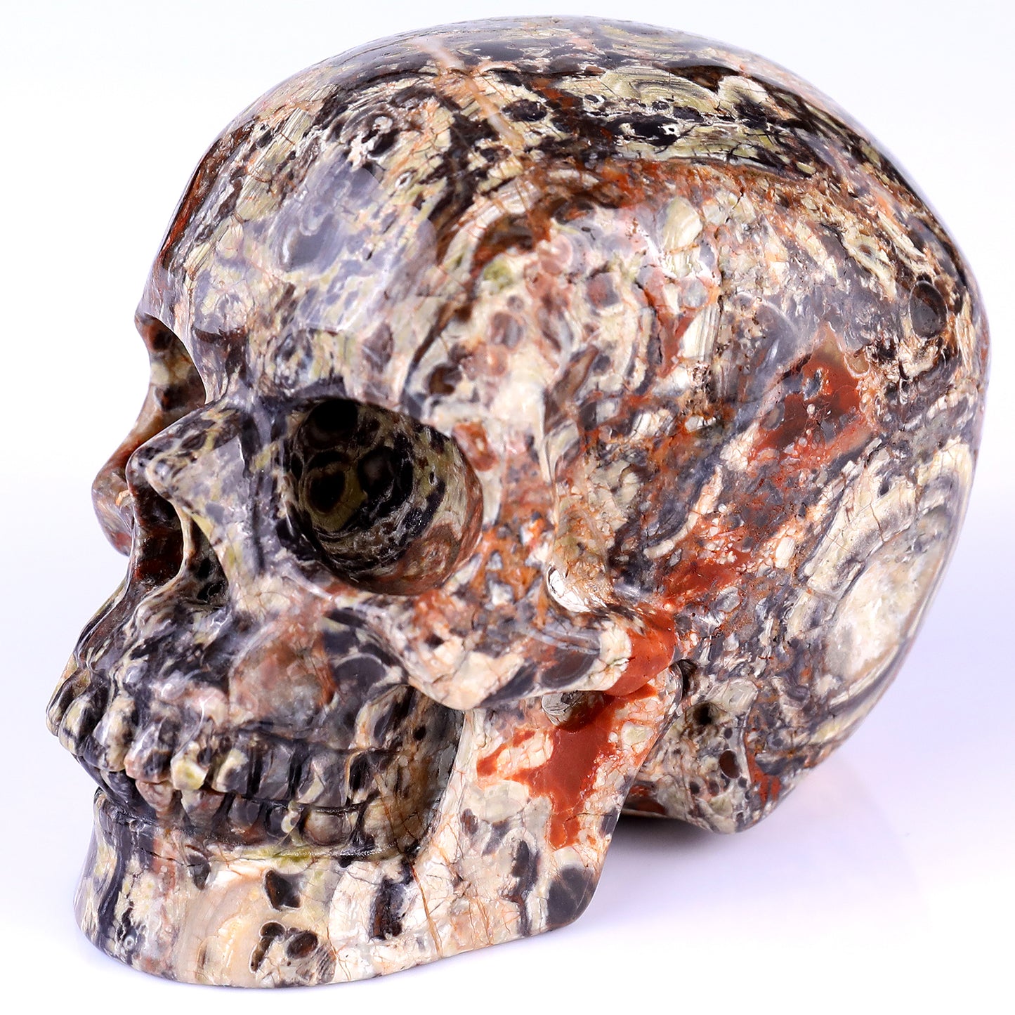 4.4" Coin Agate Hand Carved Crystal Realistic Skull Sculpture Crystallumi