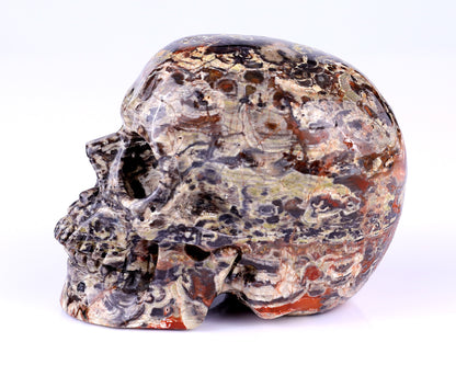 4.4" Coin Agate Hand Carved Crystal Realistic Skull Sculpture Crystallumi