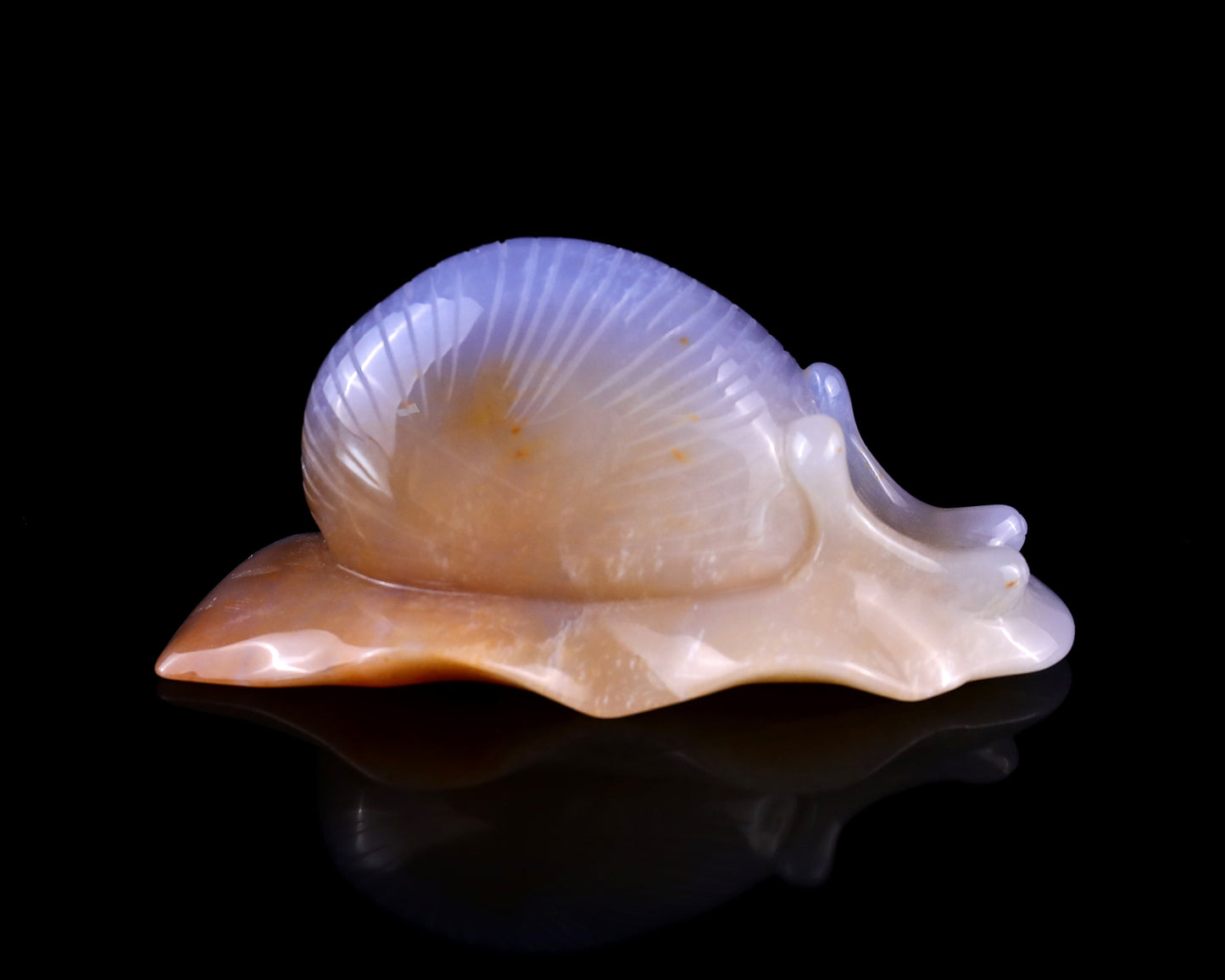 4.5" Chalcedony Hand Carved Crystal Snail Sculpture Crystallumi