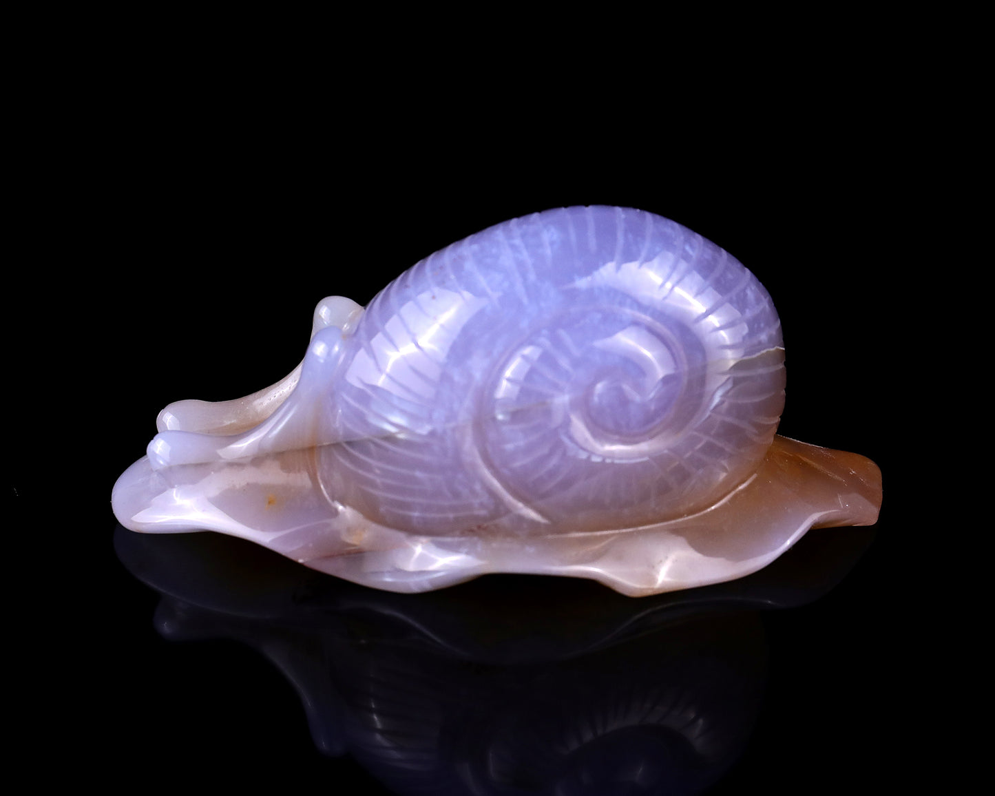 4.5" Chalcedony Hand Carved Crystal Snail Sculpture Crystallumi