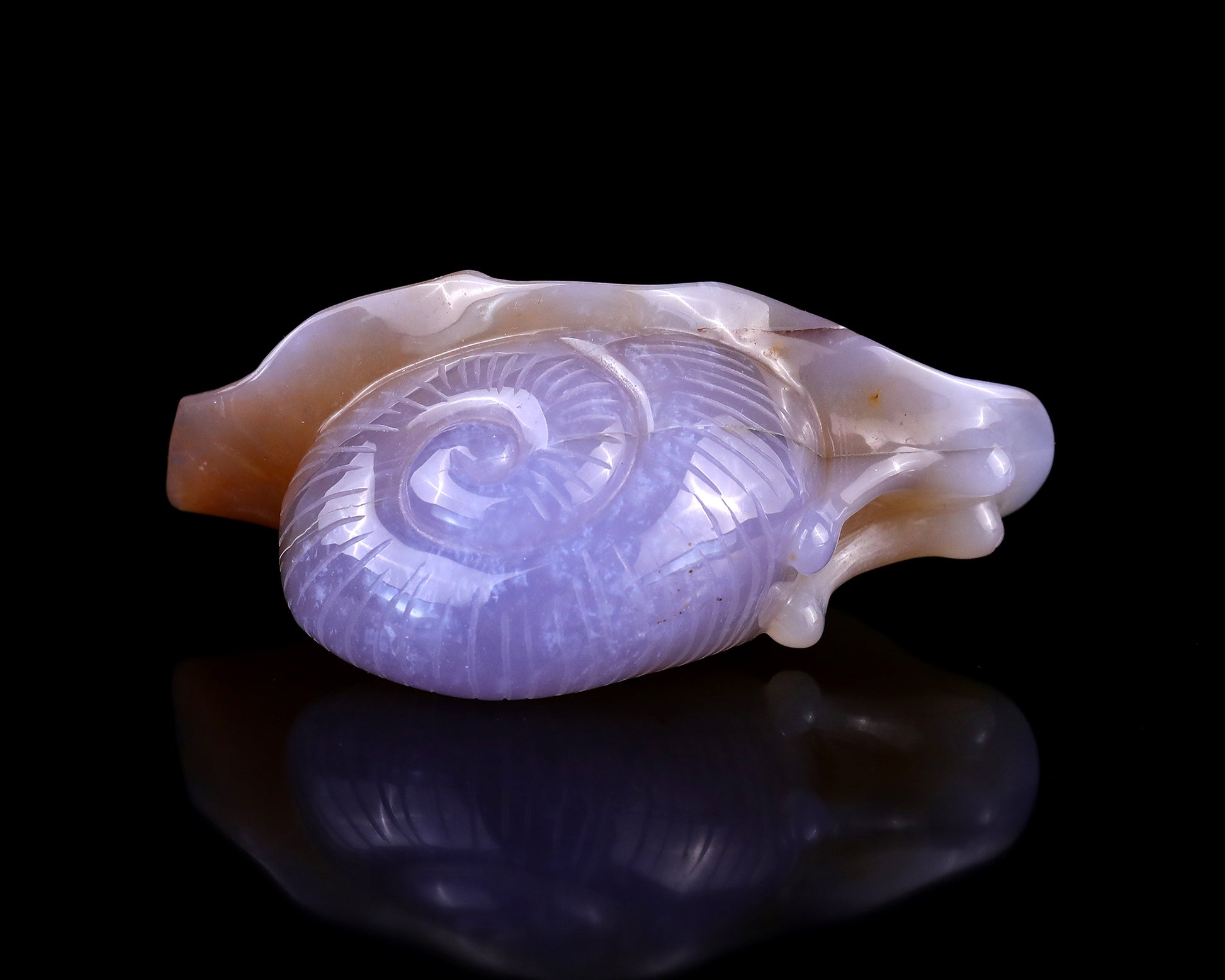 4.5" Chalcedony Hand Carved Crystal Snail Sculpture Crystallumi