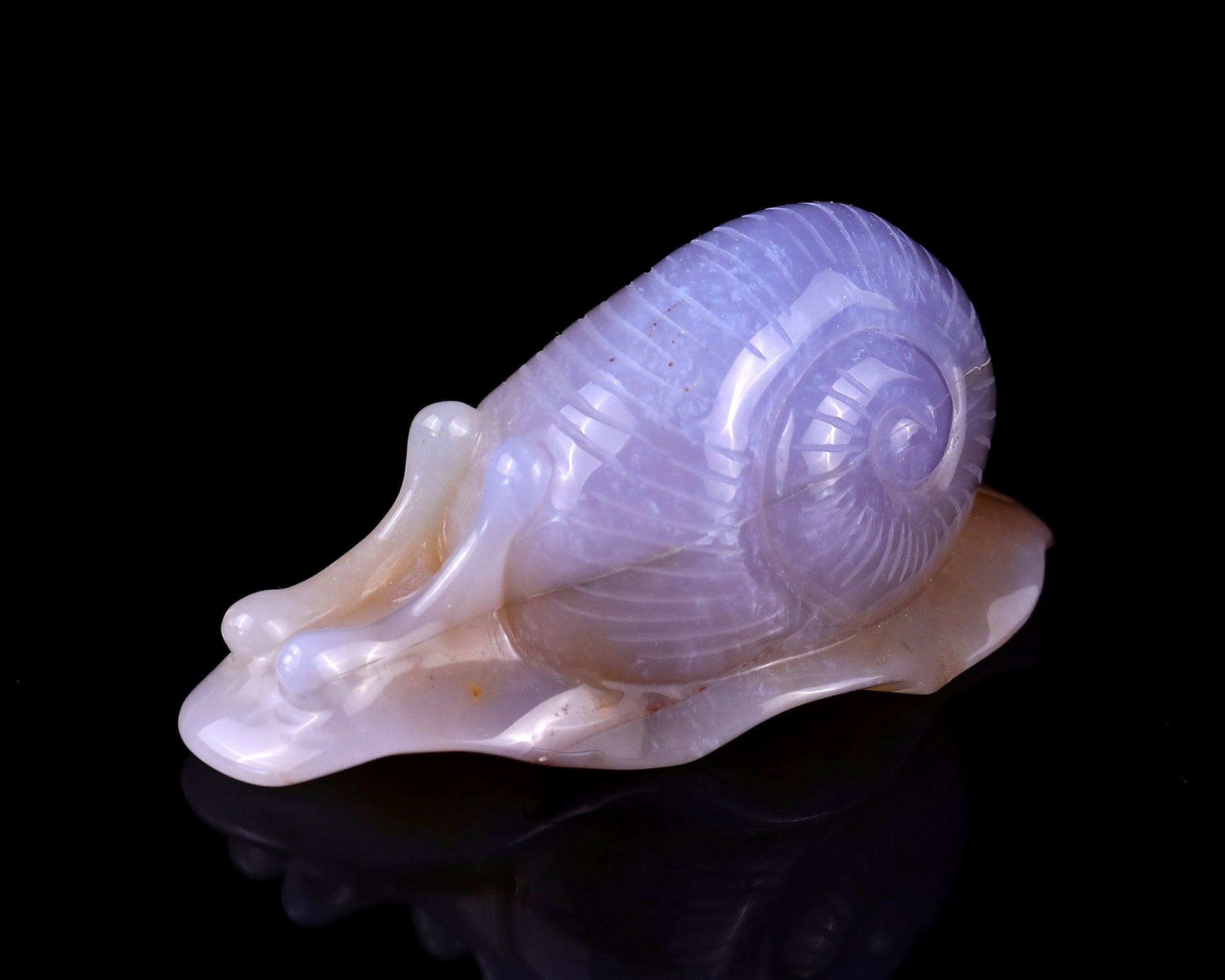 4.5" Chalcedony Hand Carved Crystal Snail Sculpture Crystallumi