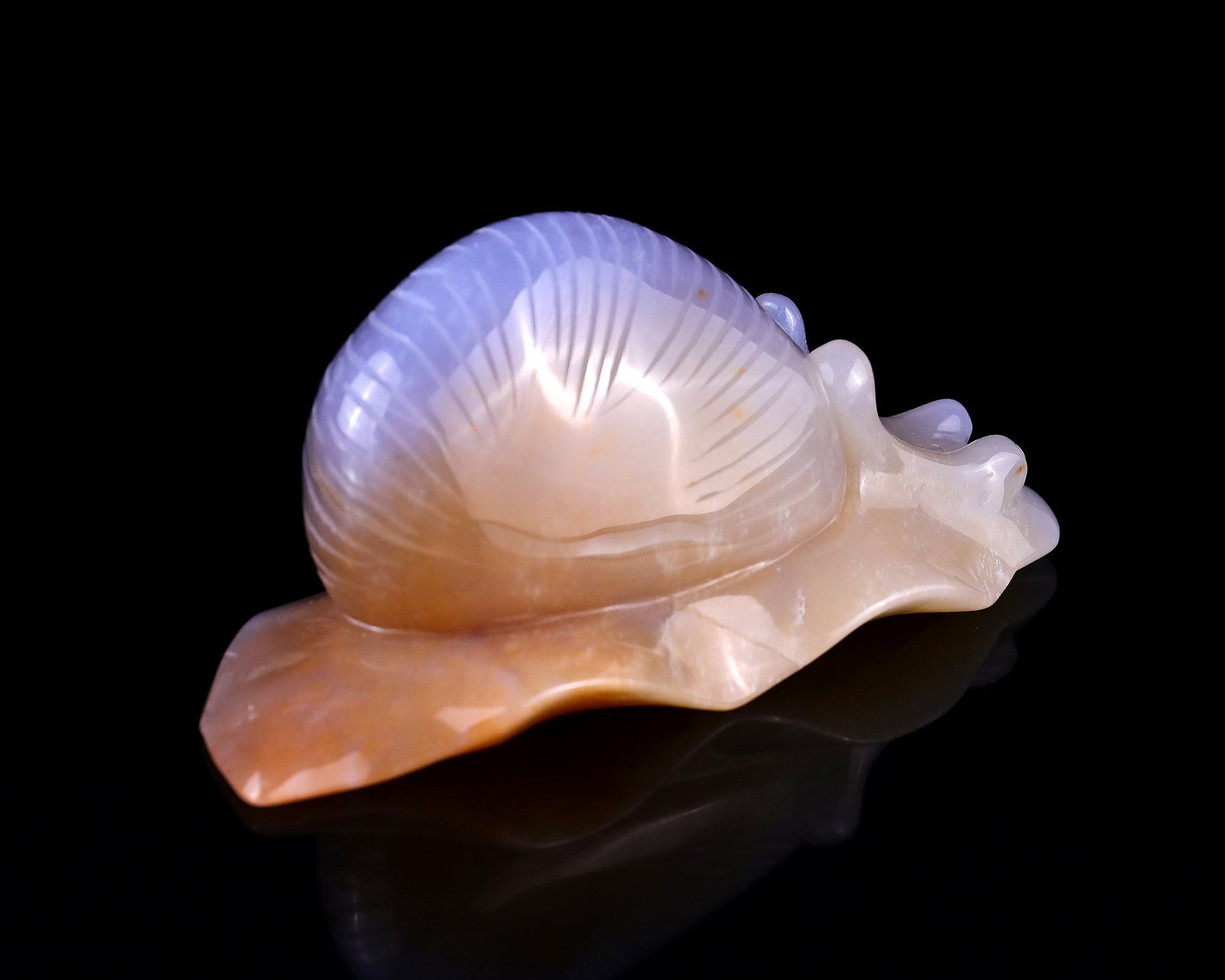 4.5" Chalcedony Hand Carved Crystal Snail Sculpture Crystallumi