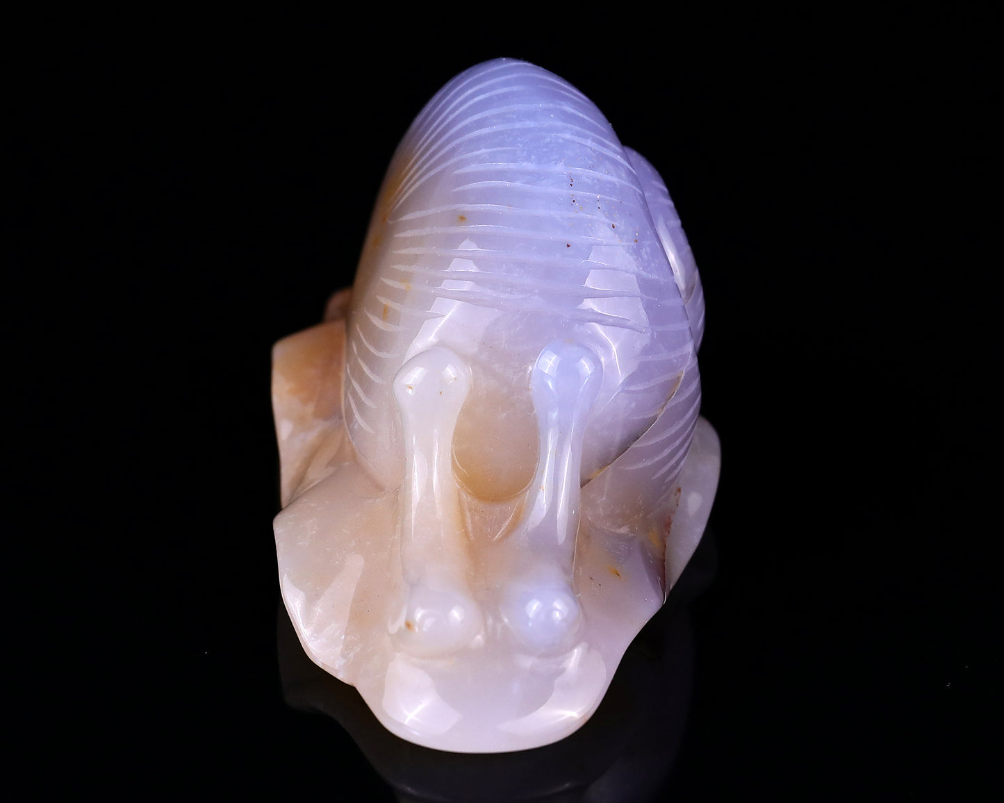 4.5" Chalcedony Hand Carved Crystal Snail Sculpture Crystallumi