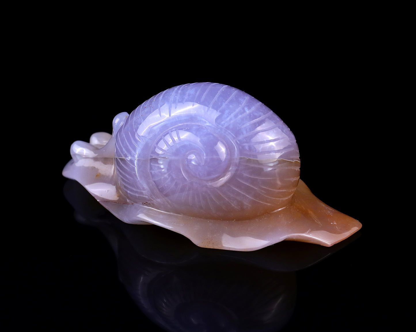 4.5" Chalcedony Hand Carved Crystal Snail Sculpture Crystallumi