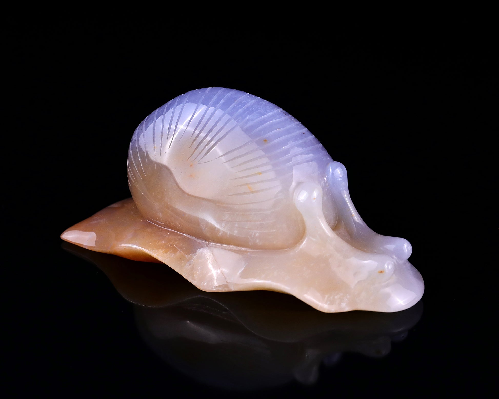 4.5" Chalcedony Hand Carved Crystal Snail Sculpture Crystallumi