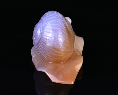 4.5" Chalcedony Hand Carved Crystal Snail Sculpture Crystallumi