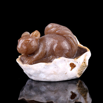 4.5" Chalcedony Hand Carved Crystal Squirrel Sculpture Crystallumi