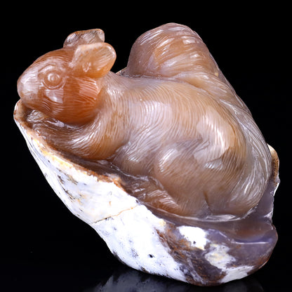 4.5" Chalcedony Hand Carved Crystal Squirrel Sculpture Crystallumi