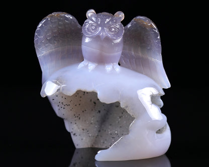 4.6" Blue Chalcedony Hand Carved Crystal Owl Sculpture Crystallumi