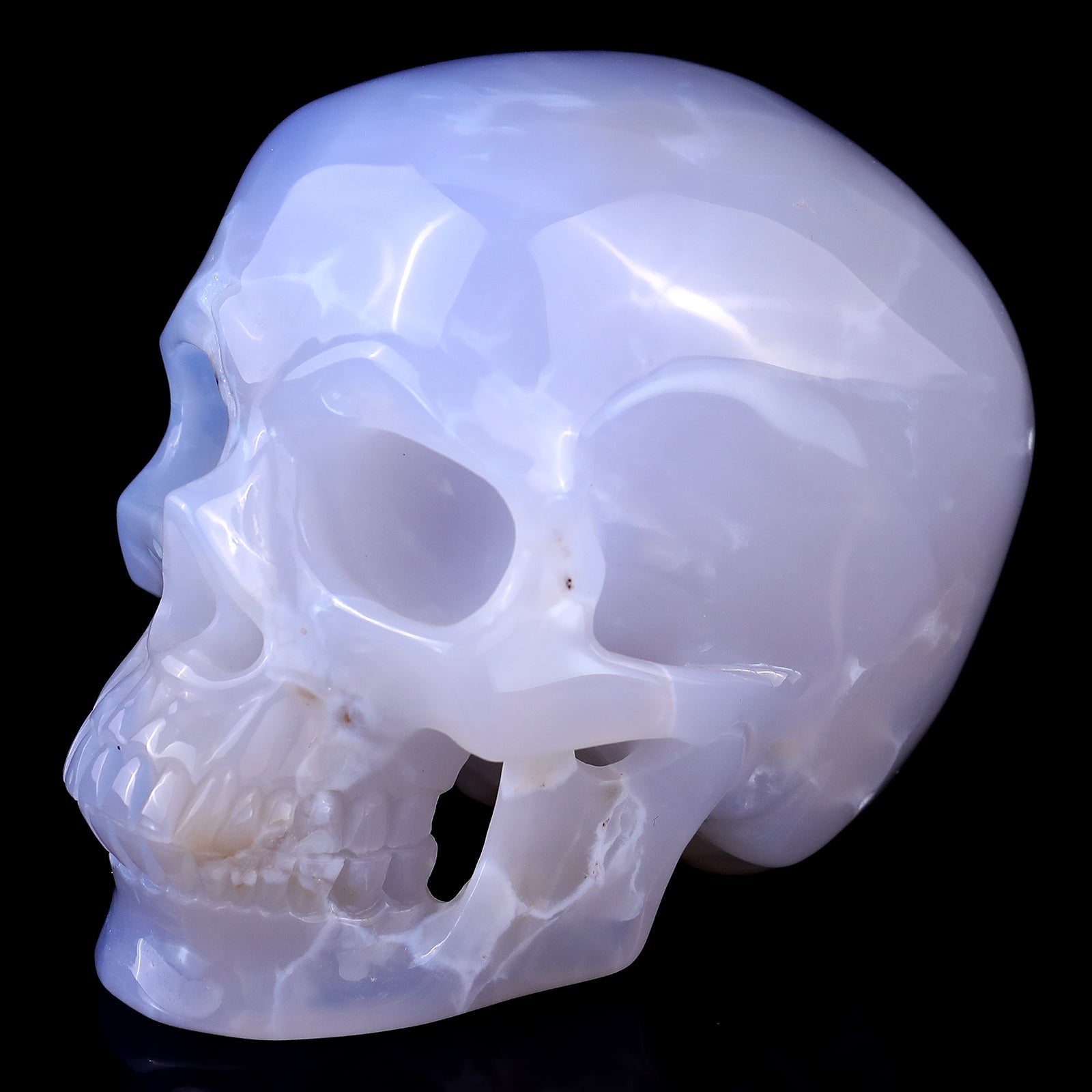 4.6" Blue Chalcedony Hand Carved Crystal Realistic Skull Sculpture Crystallumi