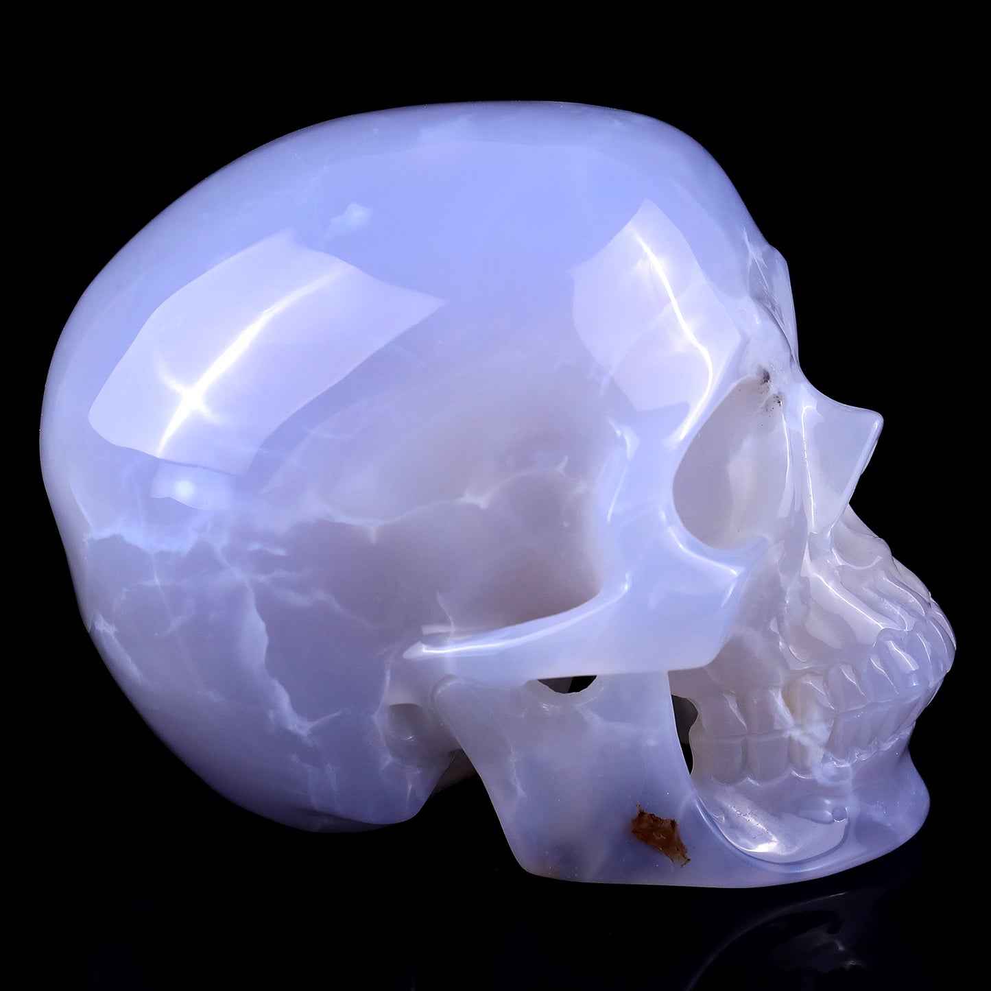 4.6" Blue Chalcedony Hand Carved Crystal Realistic Skull Sculpture Crystallumi