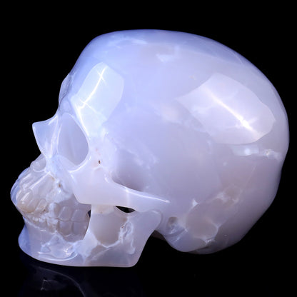 4.6" Blue Chalcedony Hand Carved Crystal Realistic Skull Sculpture Crystallumi