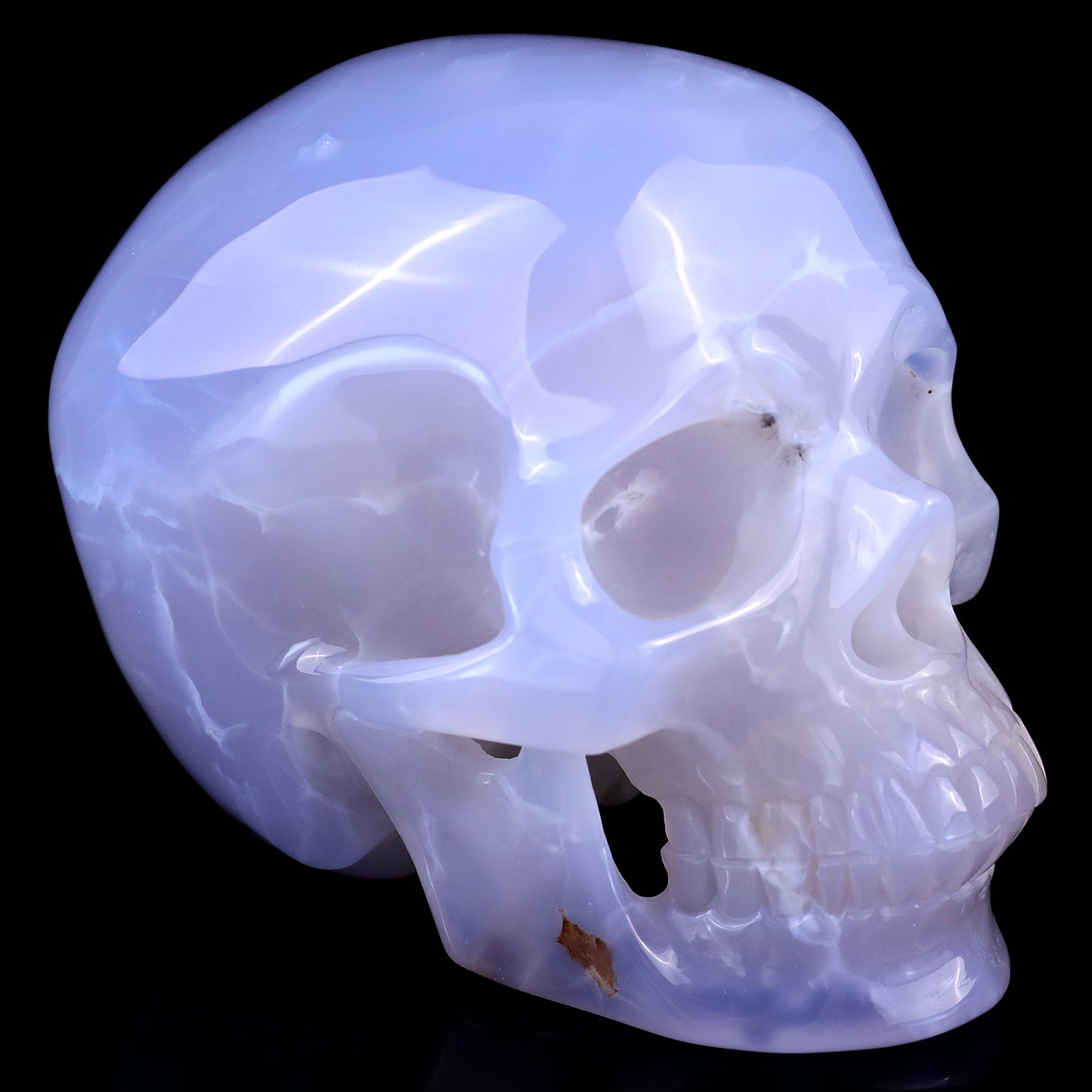 4.6" Blue Chalcedony Hand Carved Crystal Realistic Skull Sculpture Crystallumi