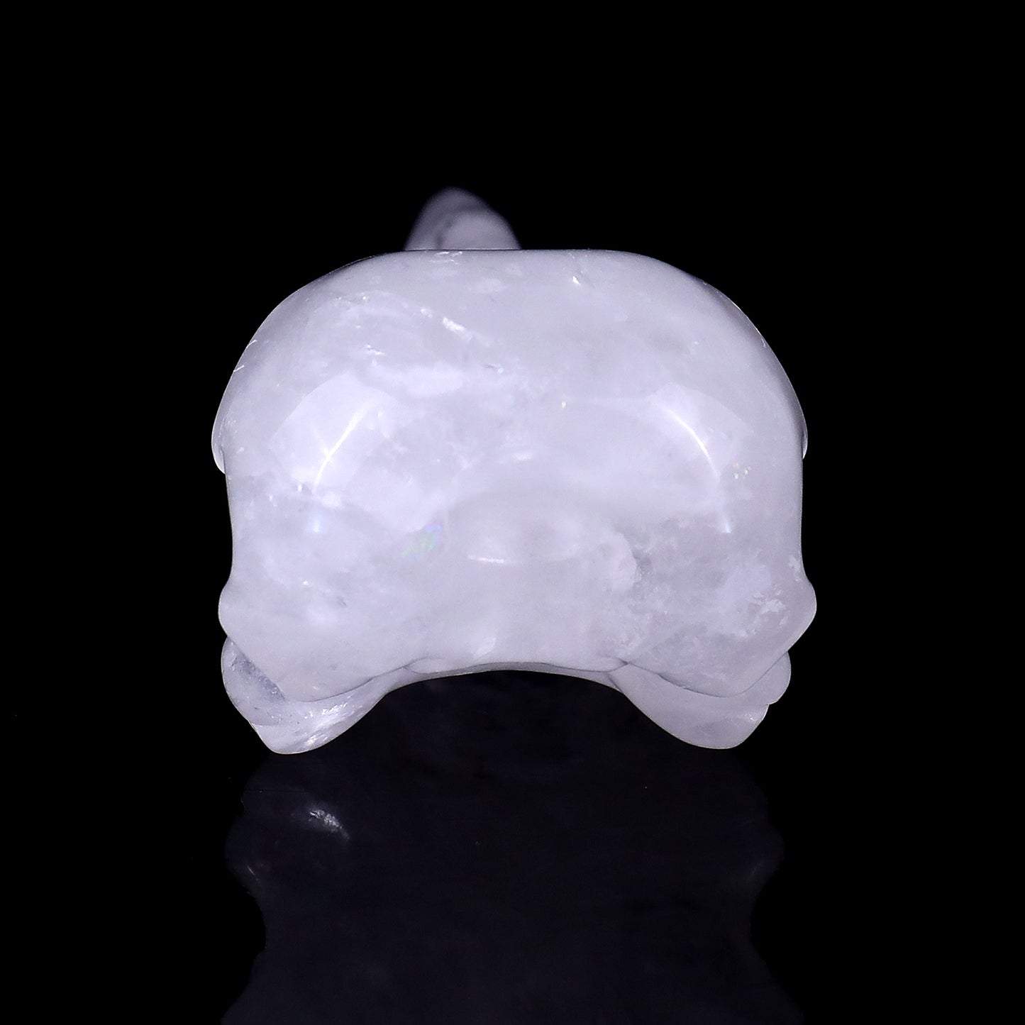 4.7" Angolan Quartz Hand Carved Crystal Raven Skull Sculpture Crystallumi