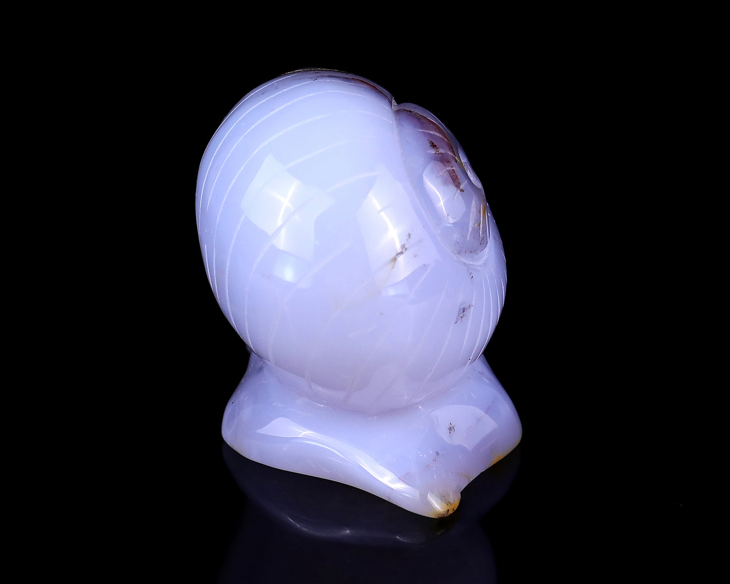 4.7" Blue Chalcedony Hand Carved Crystal Snail Sculpture Crystallumi