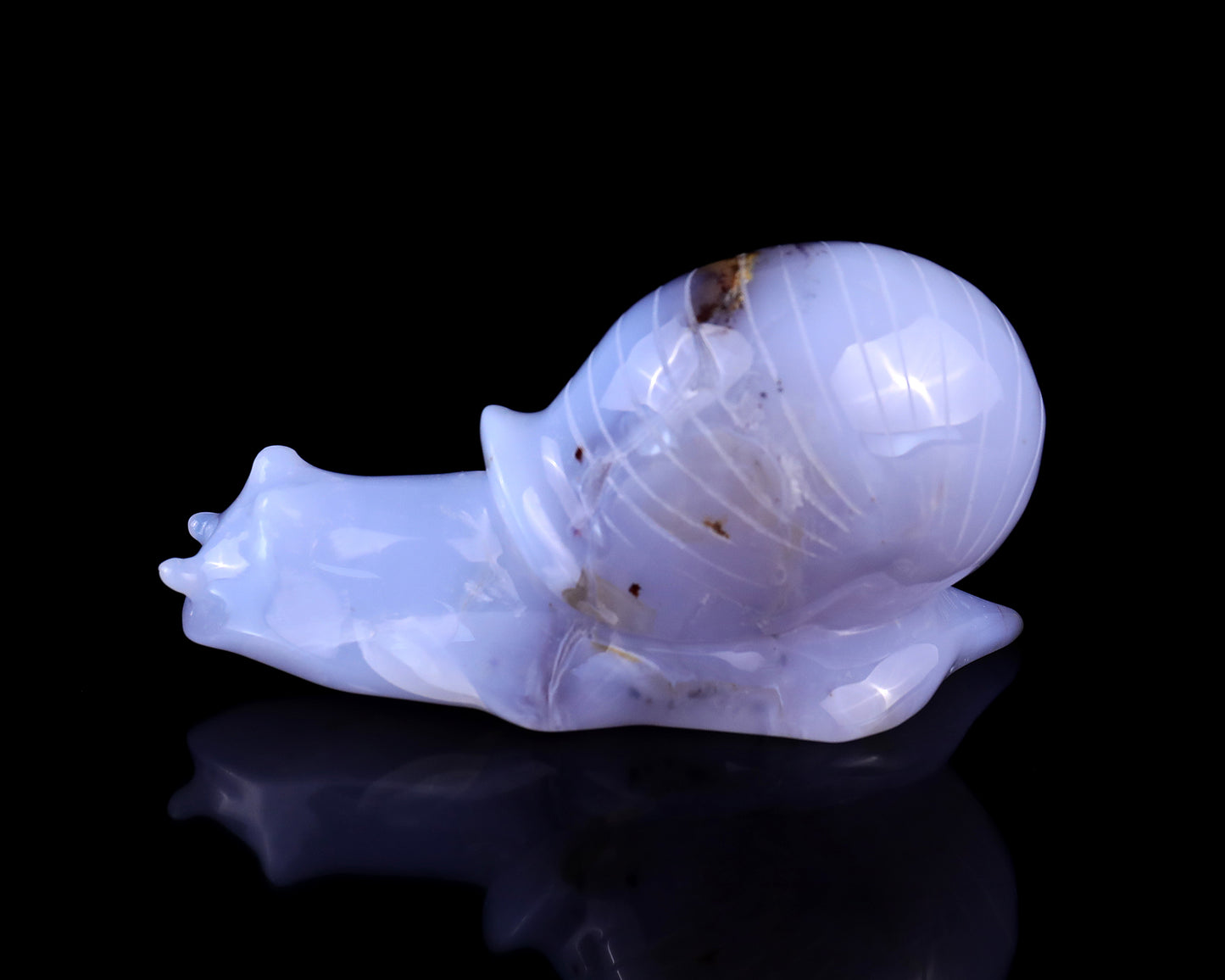 4.7" Blue Chalcedony Hand Carved Crystal Snail Sculpture Crystallumi