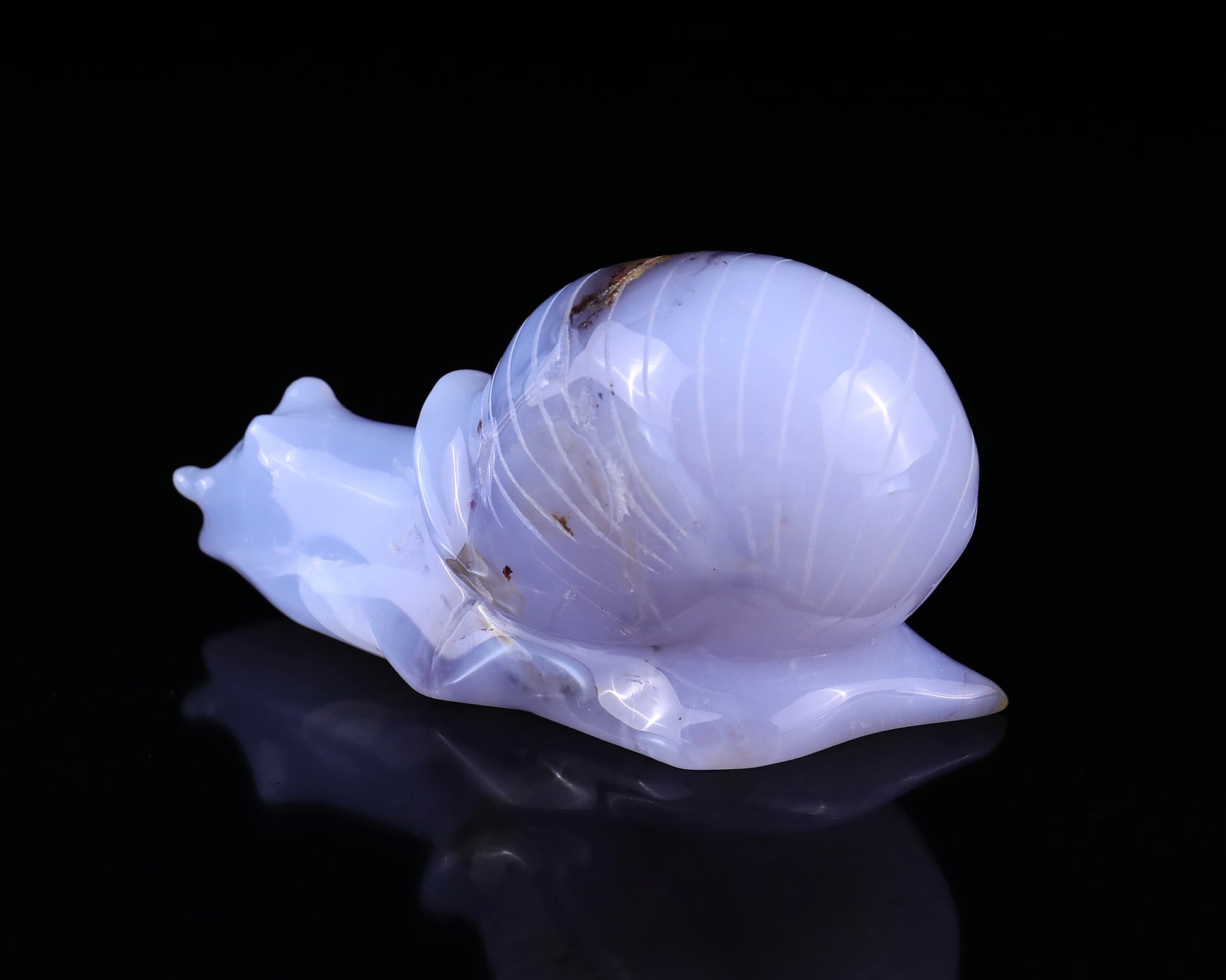 4.7" Blue Chalcedony Hand Carved Crystal Snail Sculpture Crystallumi