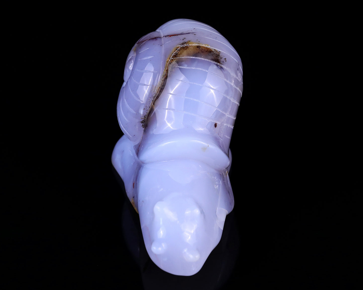 4.7" Blue Chalcedony Hand Carved Crystal Snail Sculpture Crystallumi