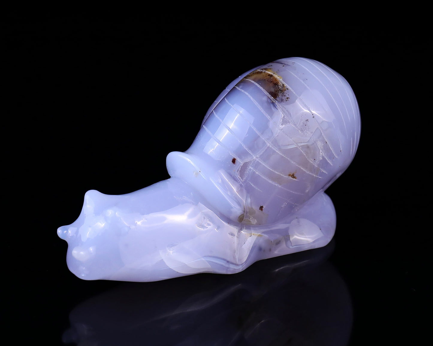 4.7" Blue Chalcedony Hand Carved Crystal Snail Sculpture Crystallumi