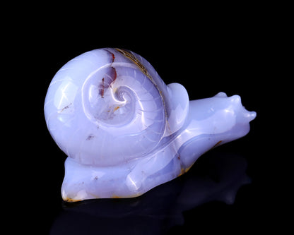 4.7" Blue Chalcedony Hand Carved Crystal Snail Sculpture Crystallumi