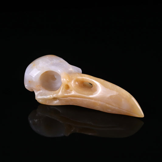 4.7" Chalcedony Hand Carved Crystal Raven Skull Sculpture Crystallumi