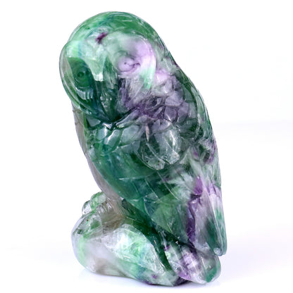 4.7" Colorful Fluorite Hand Carved Crystal Parrot Sculpture Crystallumi