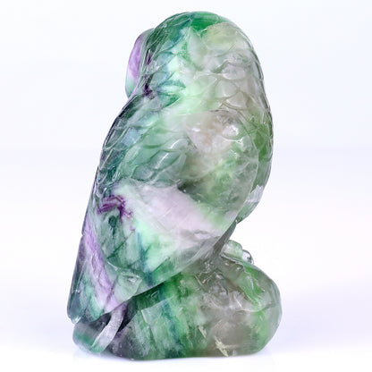 4.7" Colorful Fluorite Hand Carved Crystal Parrot Sculpture Crystallumi